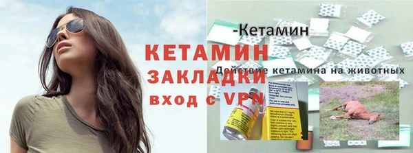 прущие грибы Красноперекопск