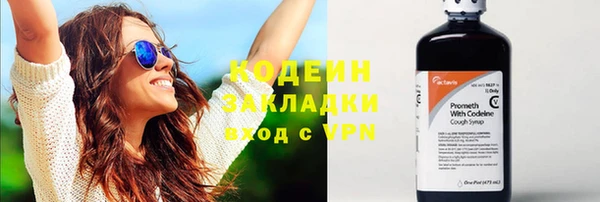 ГАЛЛЮЦИНОГЕННЫЕ ГРИБЫ Лысково