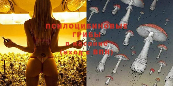 прущие грибы Красноперекопск