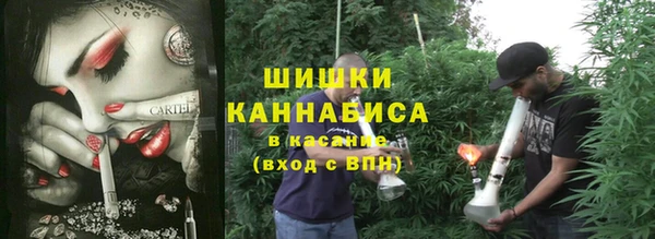 прущие грибы Красноперекопск