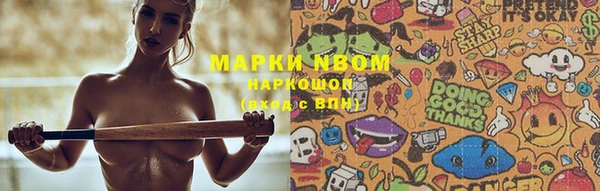 прущие грибы Красноперекопск